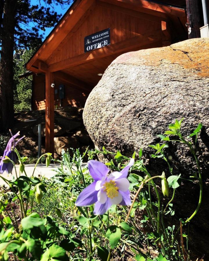 Riverview Pines Estes Park Exterior foto