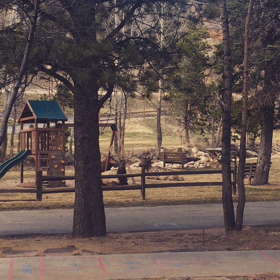Riverview Pines Estes Park Exterior foto