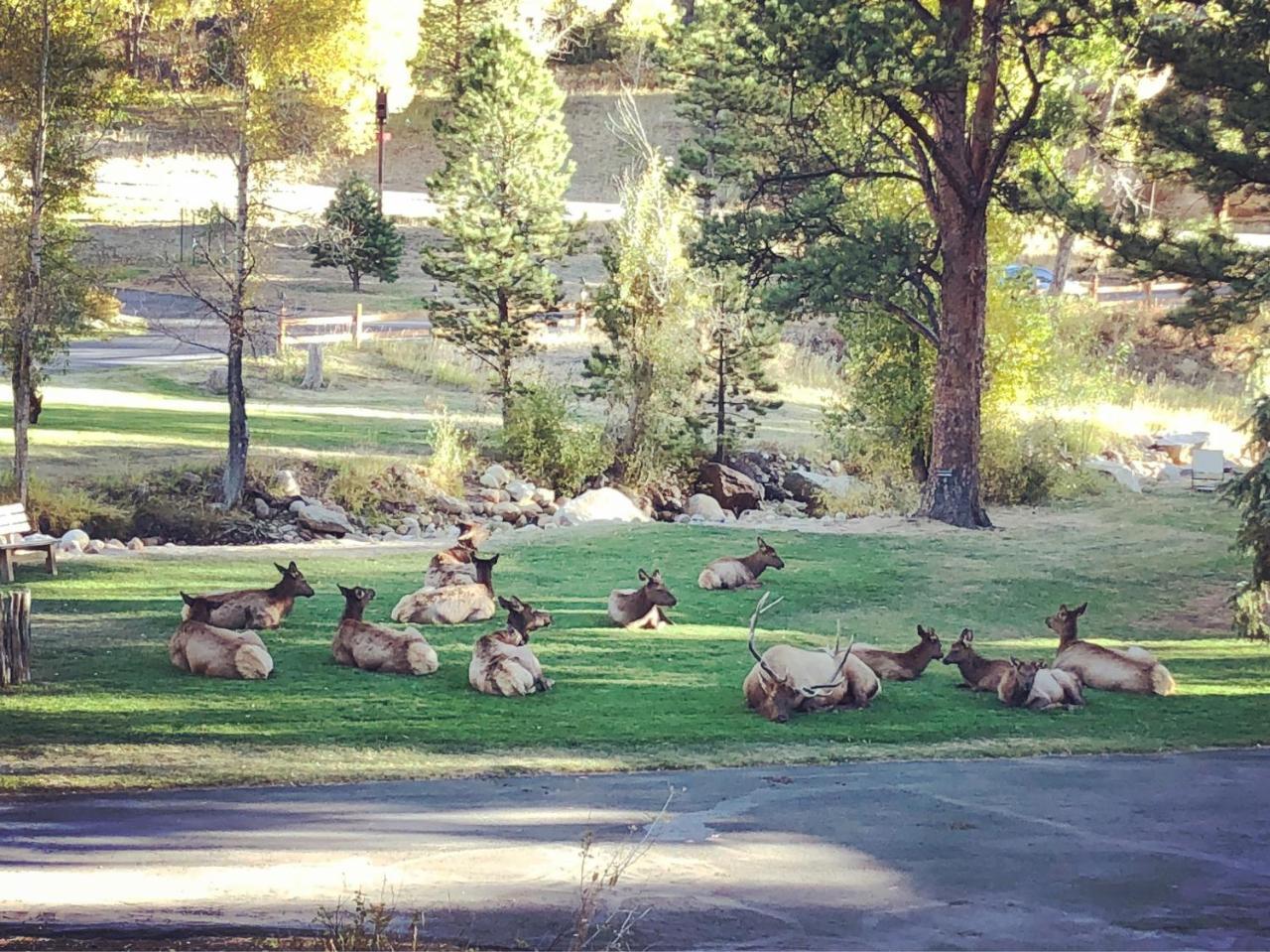 Riverview Pines Estes Park Exterior foto